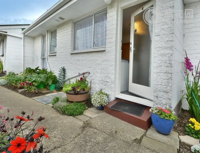 53c Law Street, Caversham, Dunedin, 2 slaapkamers, 1 badkamers