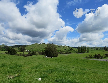 22 Riley Place, Owhango, Ruapehu, 3 ਕਮਰੇ, 0 ਬਾਥਰੂਮ