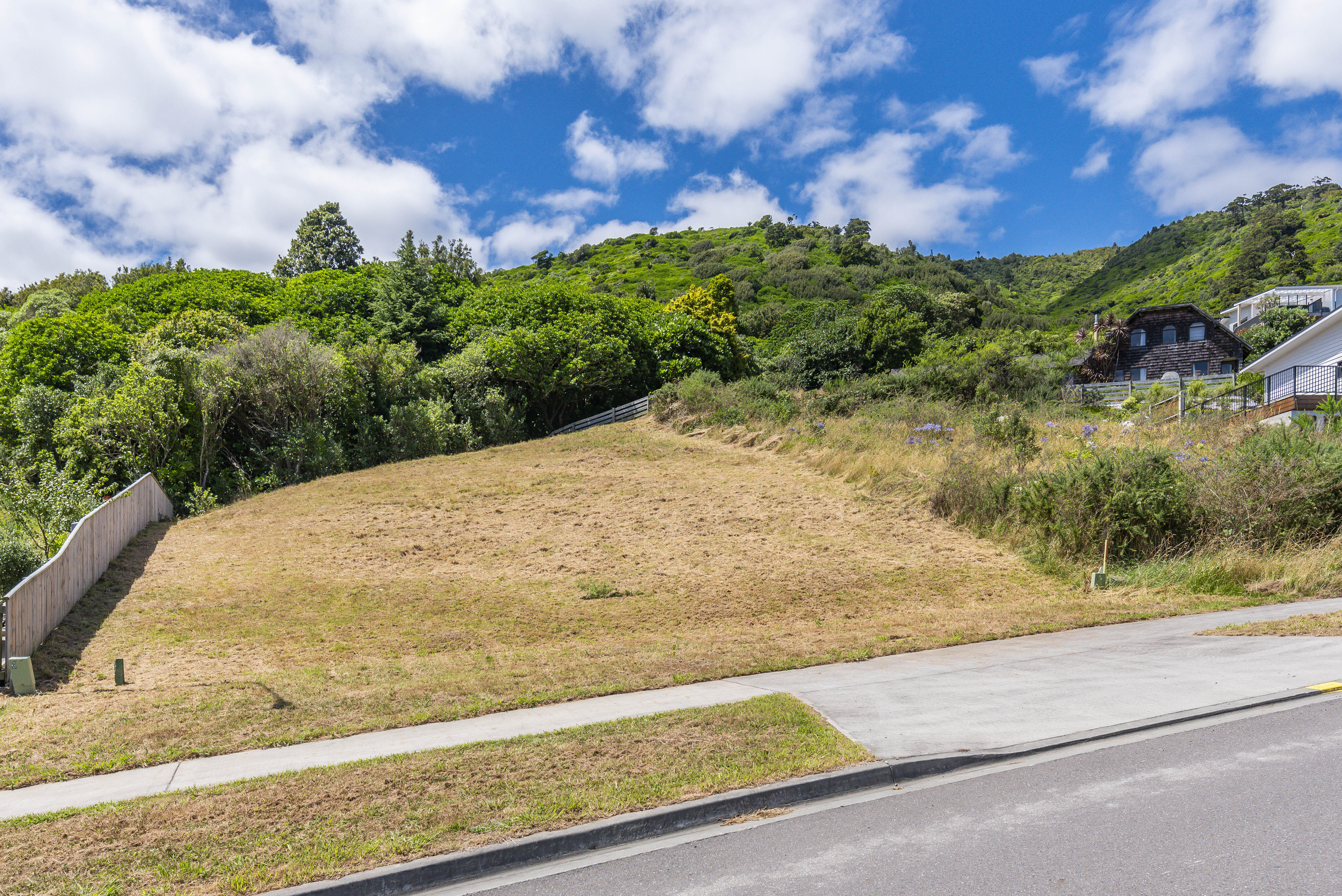 161 Winara Avenue, Waikanae, Kapiti Coast, 0 રૂમ, 0 બાથરૂમ, Section