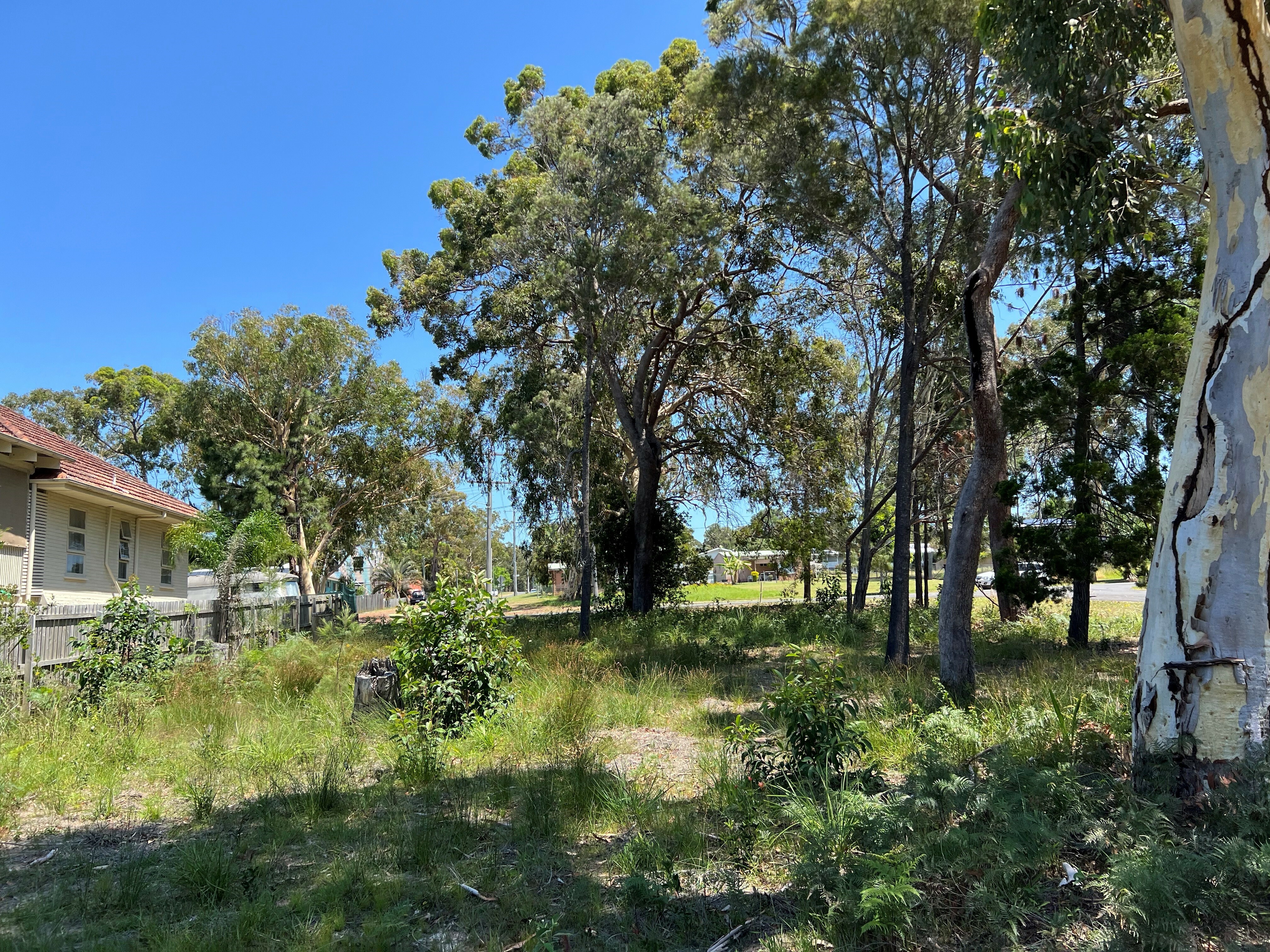 29 CANAIPA RD, Russell Island, Redland City Region, 0 Schlafzimmer, 0 Badezimmer, Section