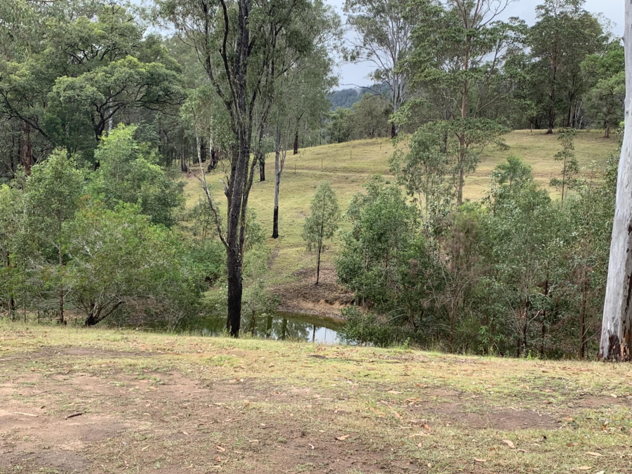 127 APPALOOSA DR, Conondale, Sunshine Coast, 0部屋, 0バスルーム, Section