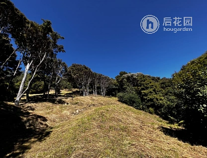 24 Fred Hollows Way, Glenleith, Dunedin, 0部屋, 0バスルーム