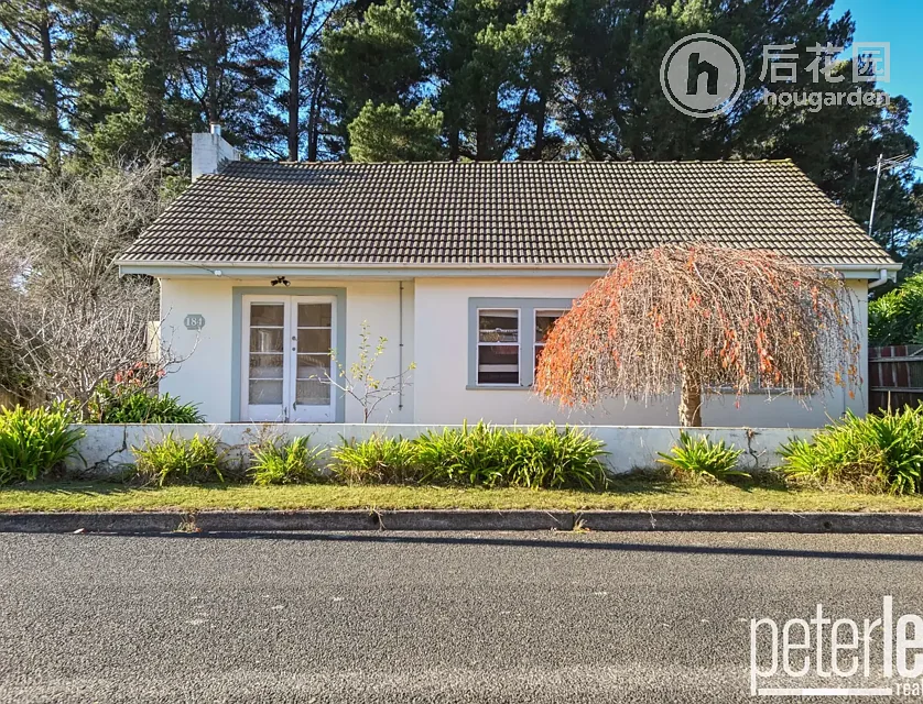 184 PAPER BEACH RD, SWAN POINT TAS 7275, 0 Schlafzimmer, 0 Badezimmer, House