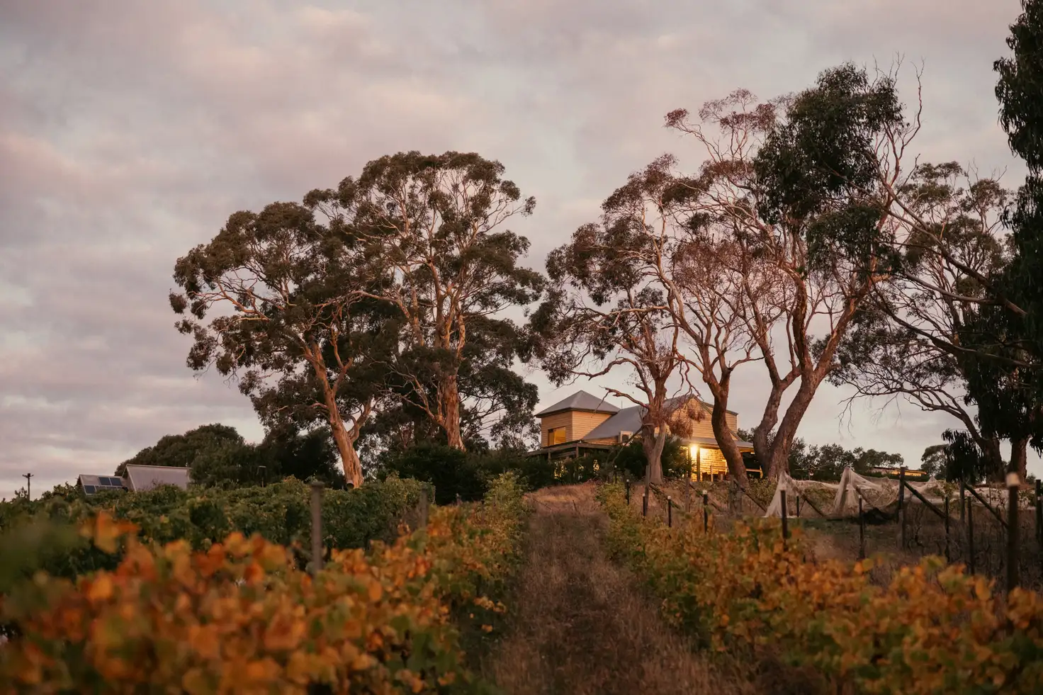 ZIG ZAG RD WINERY 201 ZIG ZAG RD, Drummond North, Ballarat, 0 غرف, 0 حمامات, House