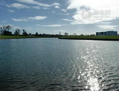 Stace Hopper Drive, One Tree Point, Whangarei, 0 ਕਮਰੇ, 1 ਬਾਥਰੂਮ