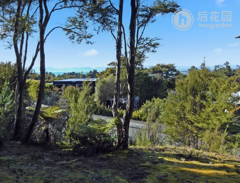 1 Cederman Drive, Kaiteriteri, Tasman, 0 ਕਮਰੇ, 0 ਬਾਥਰੂਮ