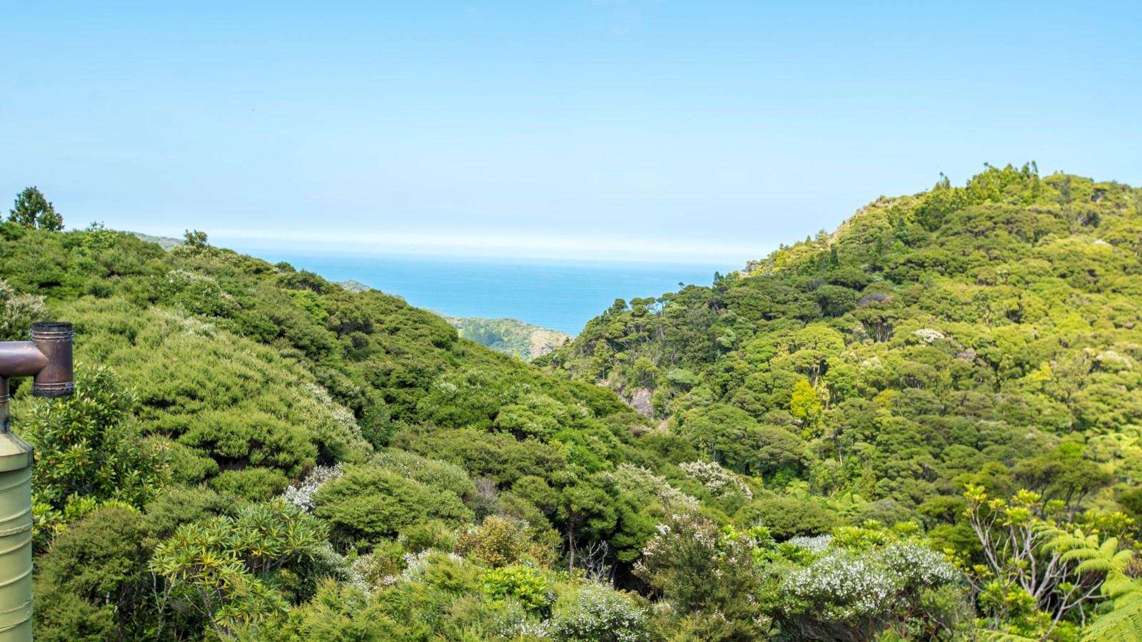 20 La Trobe Track, Karekare, Waitakere City, 3 Bedrooms, 0 Bathrooms