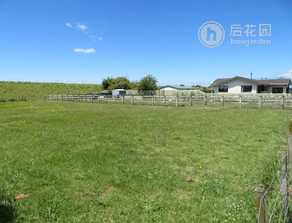 22 Aru Street, Tangimoana, Manawatu, 2 phòng ngủ, 1 phòng tắm