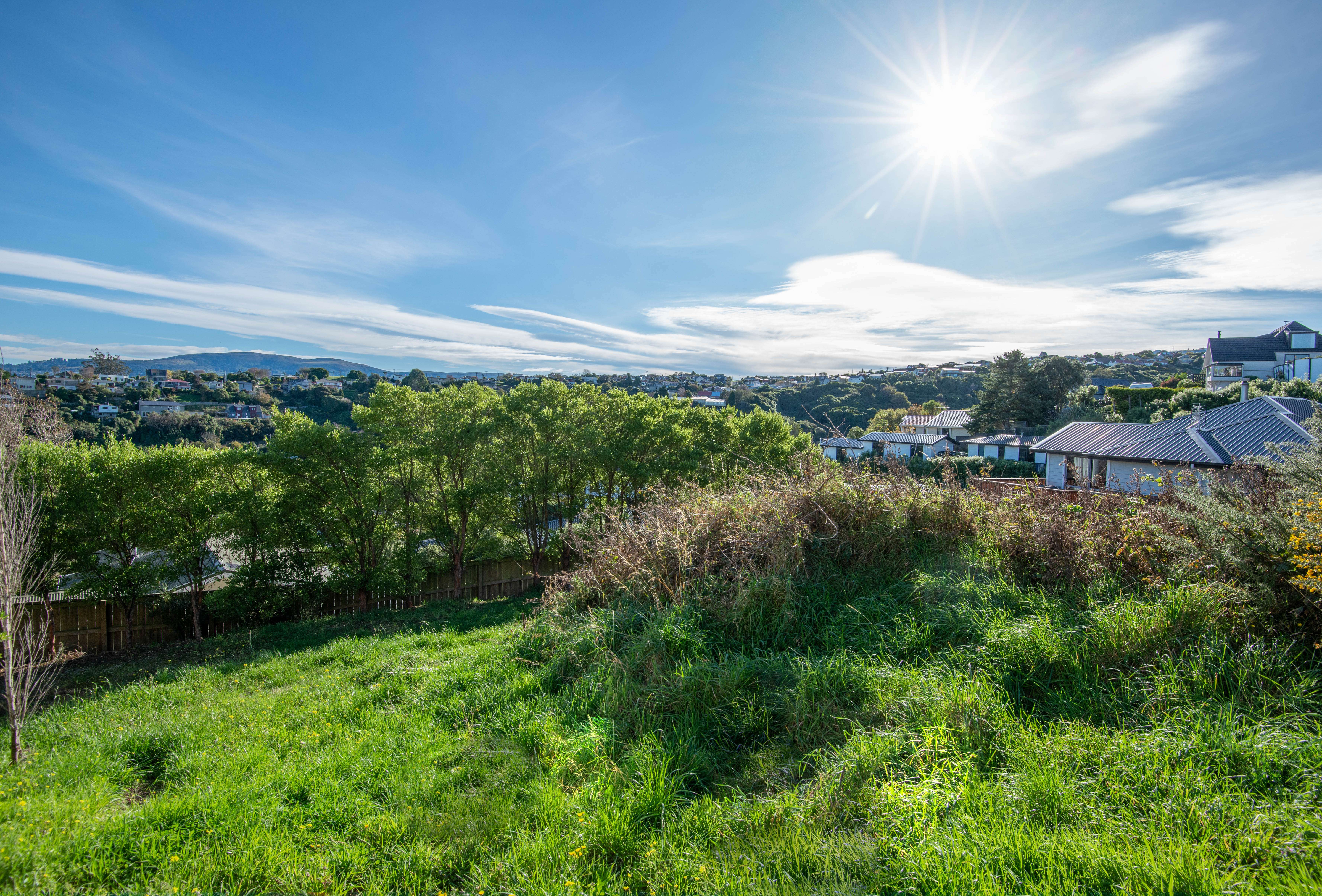 1 Lauriston Street, Andersons Bay, Dunedin City, 0 રૂમ, 0 બાથરૂમ, Section