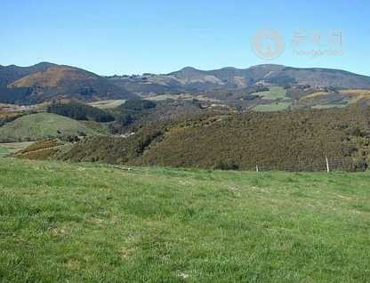 75 Miller Road, Waitati, Dunedin, 0 habitaciones, 0 baños