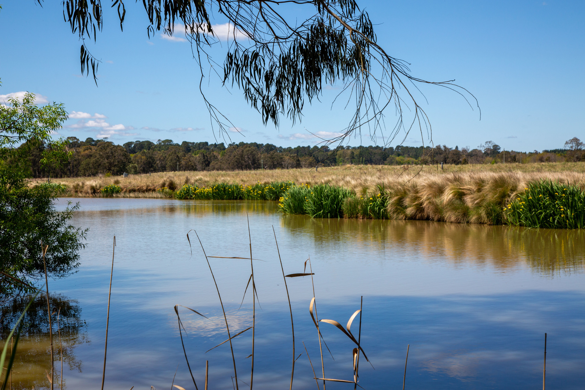 LITTLE MINNOWS 7 MINNOWS DR, Bowral, South Coast, 0 habitaciones, 0 baños, Lifestyle Section