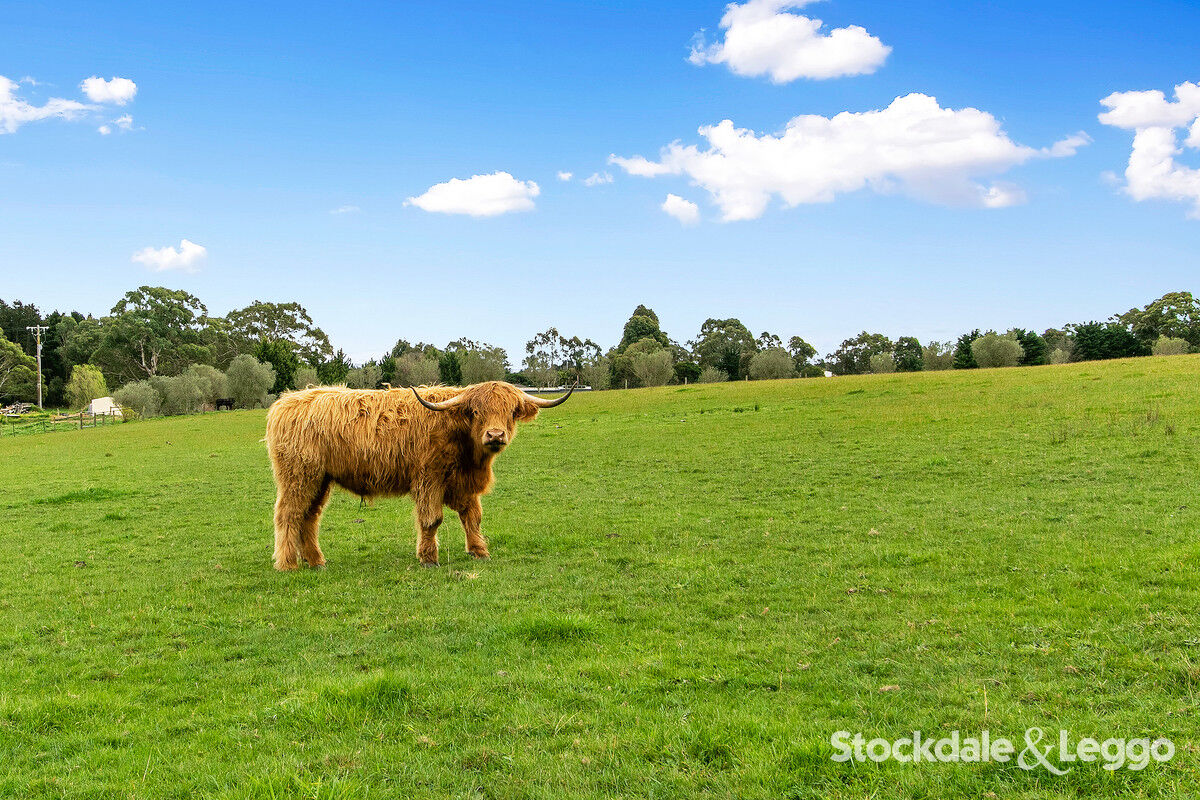 100 TRARALGON WEST RD, Traralgon, Traralagon , 0 ਕਮਰੇ, 0 ਬਾਥਰੂਮ, House