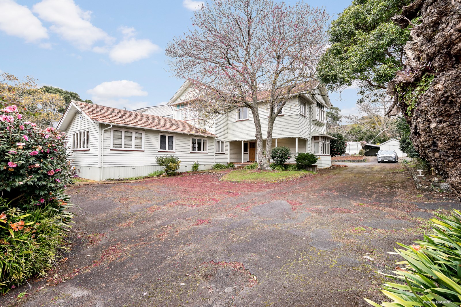 Residential  Single House Zone