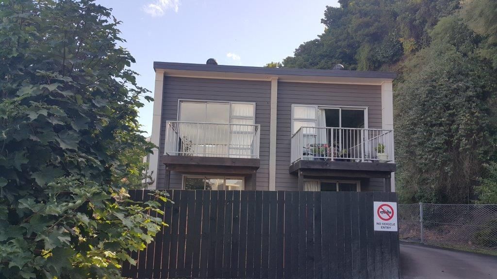 66j Maclaggan Street, Dunedin Central, Dunedin City, 2 ਕਮਰੇ, 1 ਬਾਥਰੂਮ