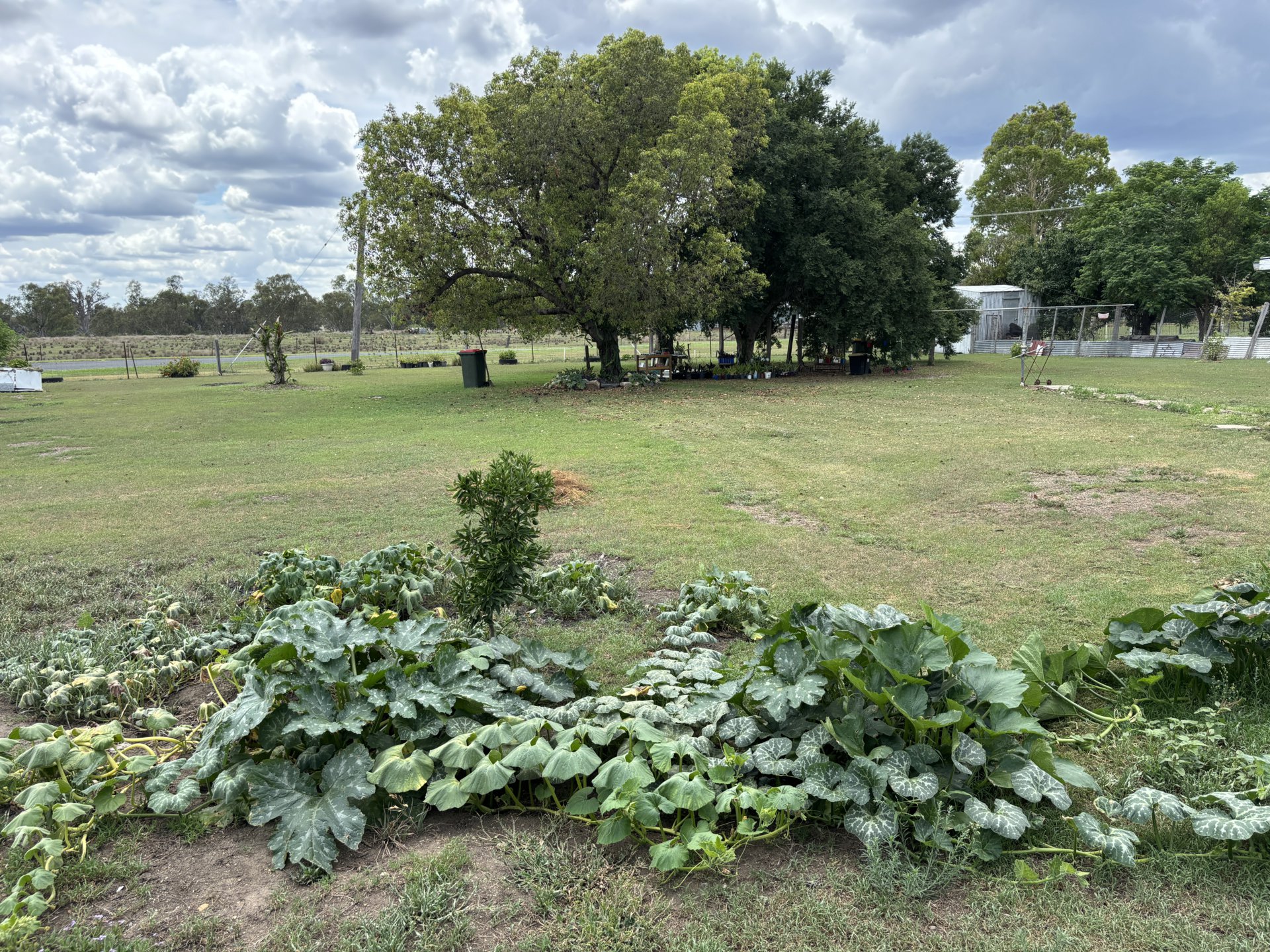 90-92 MACINTYRE ST, Yetman, Tamworth, 0房, 0浴, House