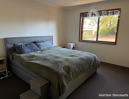 44 MONAGHAN ST, COBAR NSW 2835, 0 غرف, 0 حمامات, House