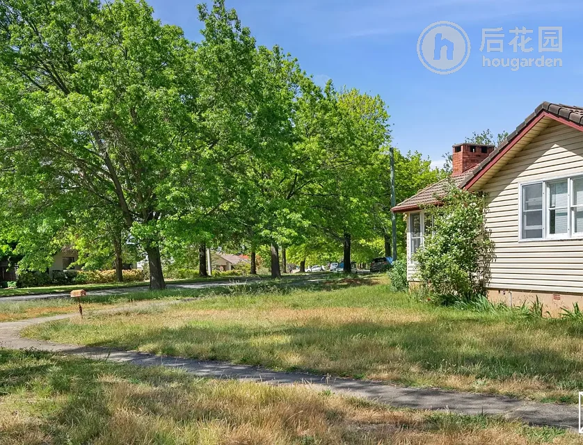 38 NARDOO CR, O'CONNOR ACT 2602, 0 ห้องนอน, 0 ห้องน้ำ, House