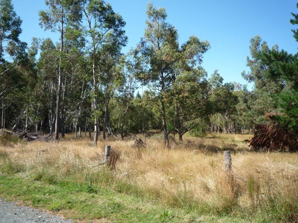 Rural Zone