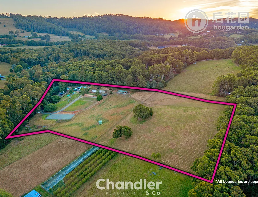 176 EMERALD-MONBULK RD, MONBULK VIC 3793, 0 rūma, 0 rūma horoi, House