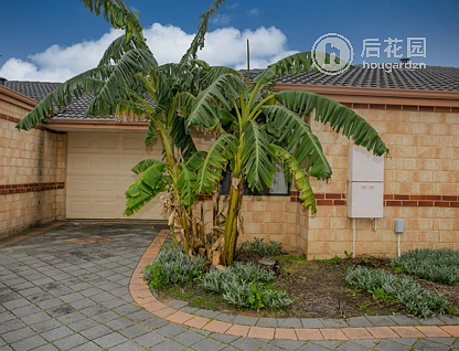 Unit 4/41 GEORGE STREET, MIDLAND, 0部屋, 0バスルーム, Unit