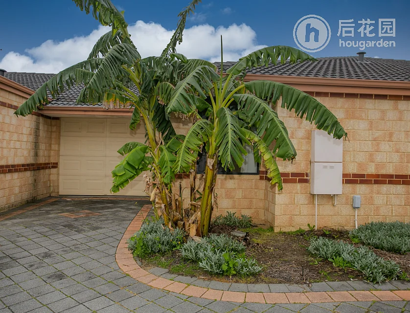 Unit 4/41 GEORGE STREET, MIDLAND, 0部屋, 0バスルーム, Unit