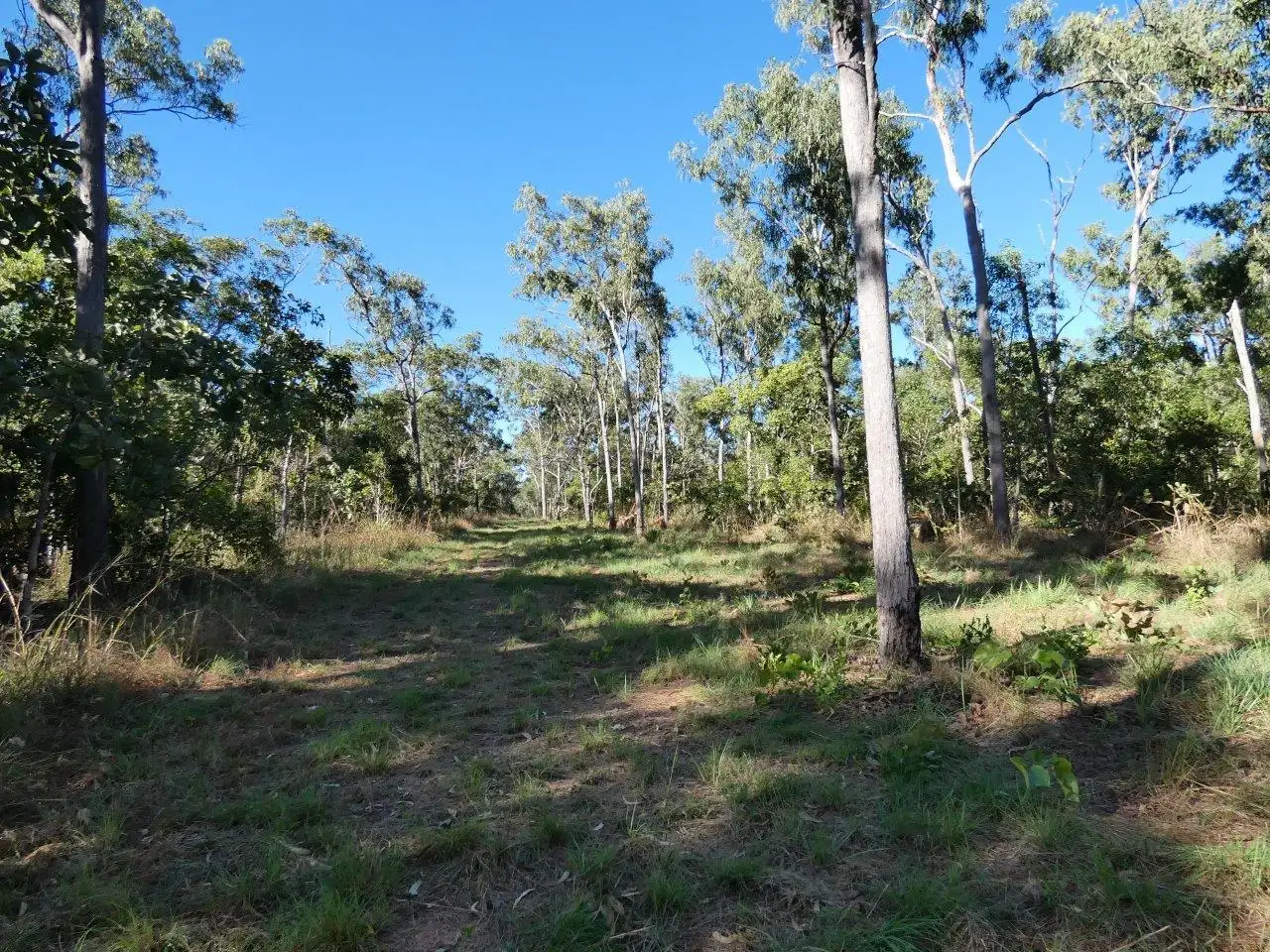 125 LEPANTO ST, Dundee Beach, Daly - Tiwi - West Arnhem, 0 Bedrooms, 0 Bathrooms, Section
