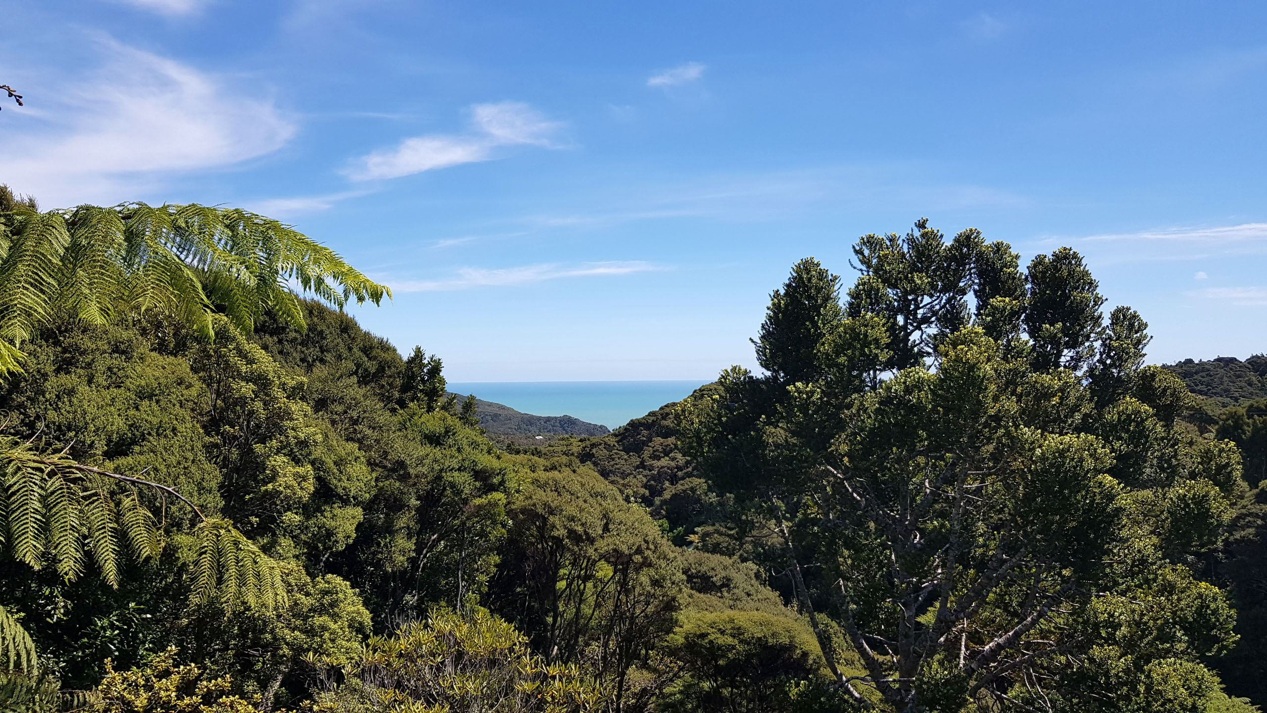 8 La Trobe Track, Karekare, Waitakere City, 3 Bedrooms, 0 Bathrooms
