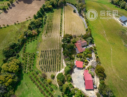 209 Stafford Drive, Ruby Bay, Tasman, 4房, 0浴