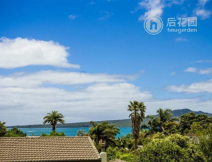 1/5a Takarunga Road, Devonport, Auckland - North Shore, 3房, 1浴