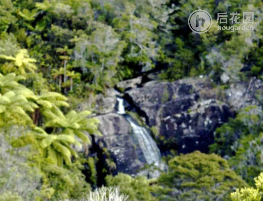 130a Silverstream Falls Row, Whenuakite, Coromandel, 0 habitaciones, 0 baños