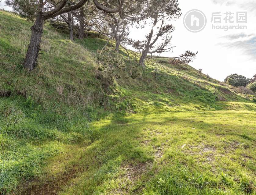 5 Mowhanau Drive, Kai Iwi, Whanganui, 0 slaapkamers, 0 badkamers