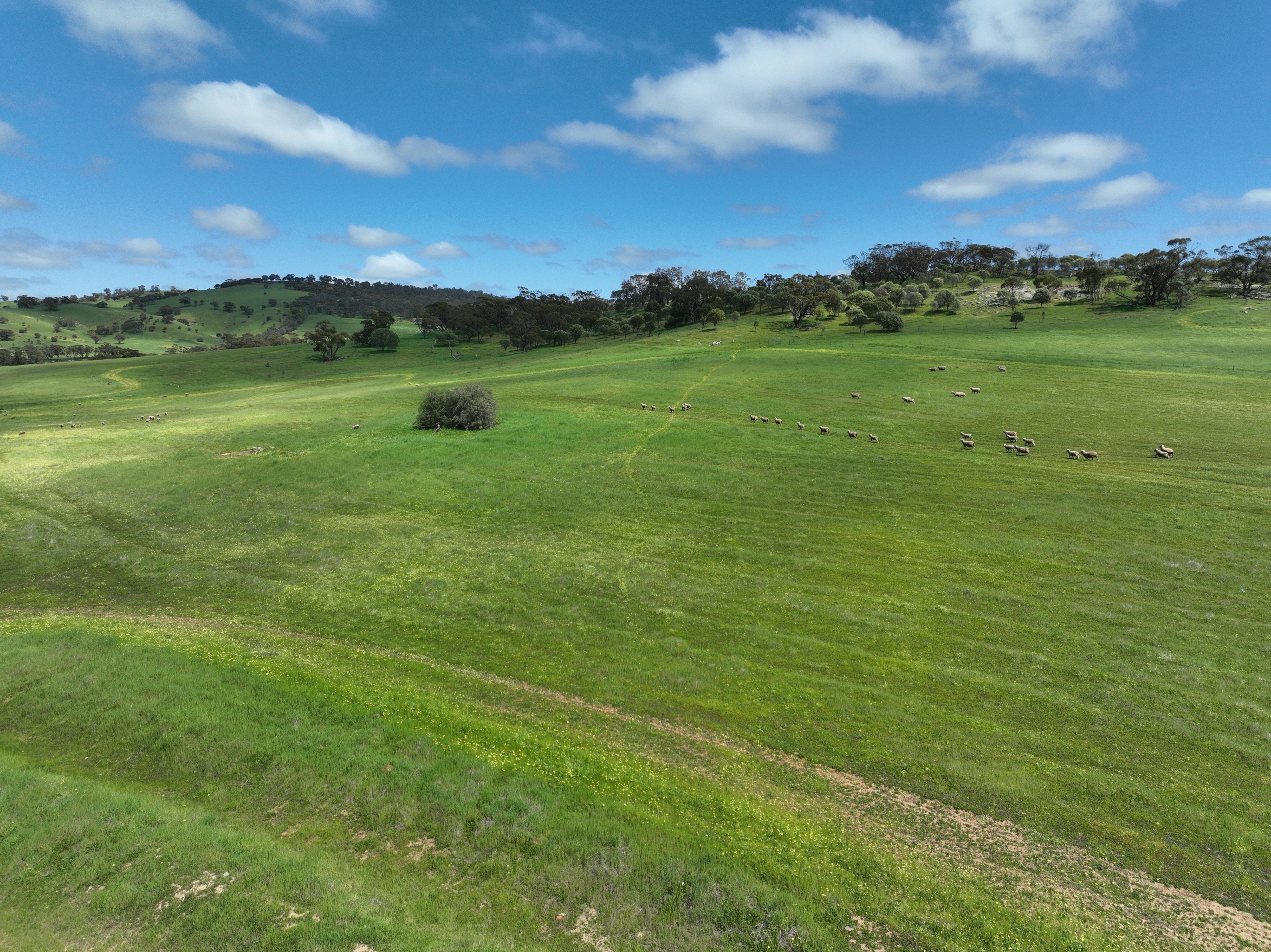 10 DEEPDALE RD, West Toodyay, Wheat Belt, 0 침실, 0 욕실, Section