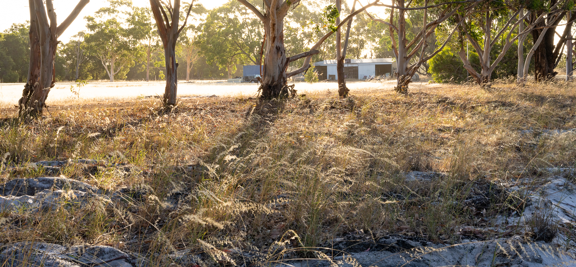 252 ELLENBROOK RD, Bullsbrook, Swan, 0 chambres, 0 salles de bain, Lifestyle Section