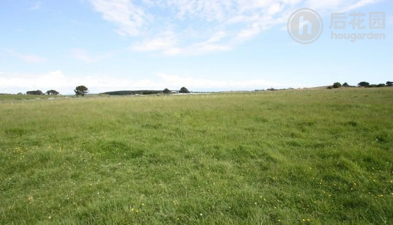 77 Nuku Street, Tangimoana, Manawatu, 2 ਕਮਰੇ, 0 ਬਾਥਰੂਮ