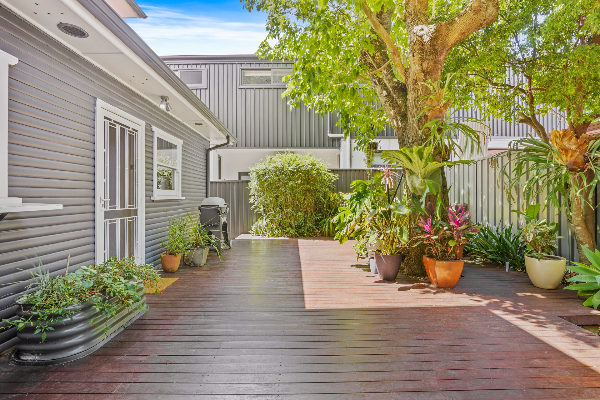 76 VIMIERA RD, EASTWOOD NSW 2122, 0 Bedrooms, 0 Bathrooms, House
