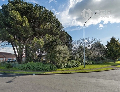 41 Tobin Street, Pukekohe, Auckland - Franklin, 3 कमरे, 1 बाथरूम