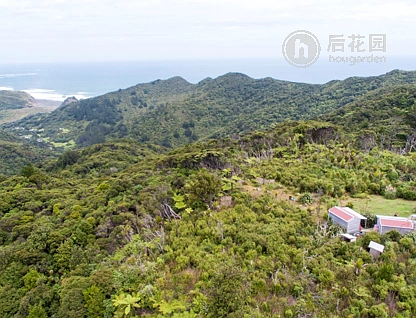 205 Piha Road, Piha, Auckland - Waitakere, 3 ਕਮਰੇ, 1 ਬਾਥਰੂਮ