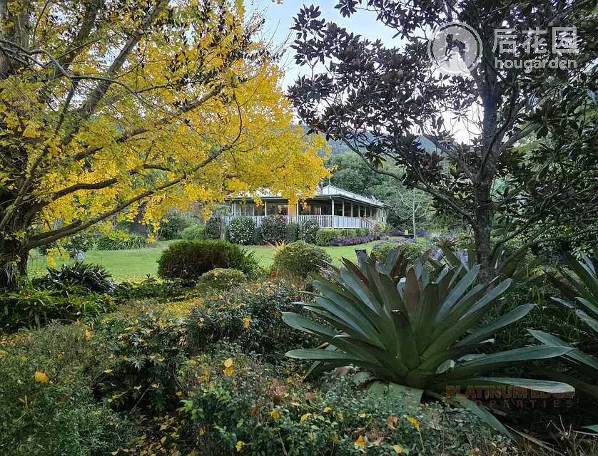 1462 RUNNING CREEK RD, RUNNING CREEK QLD 4287, 0 कमरे, 0 बाथरूम, House