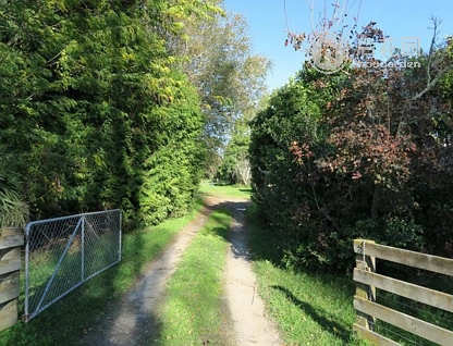 7 Whitmore Road, Ormond, Gisborne, 4房, 1浴