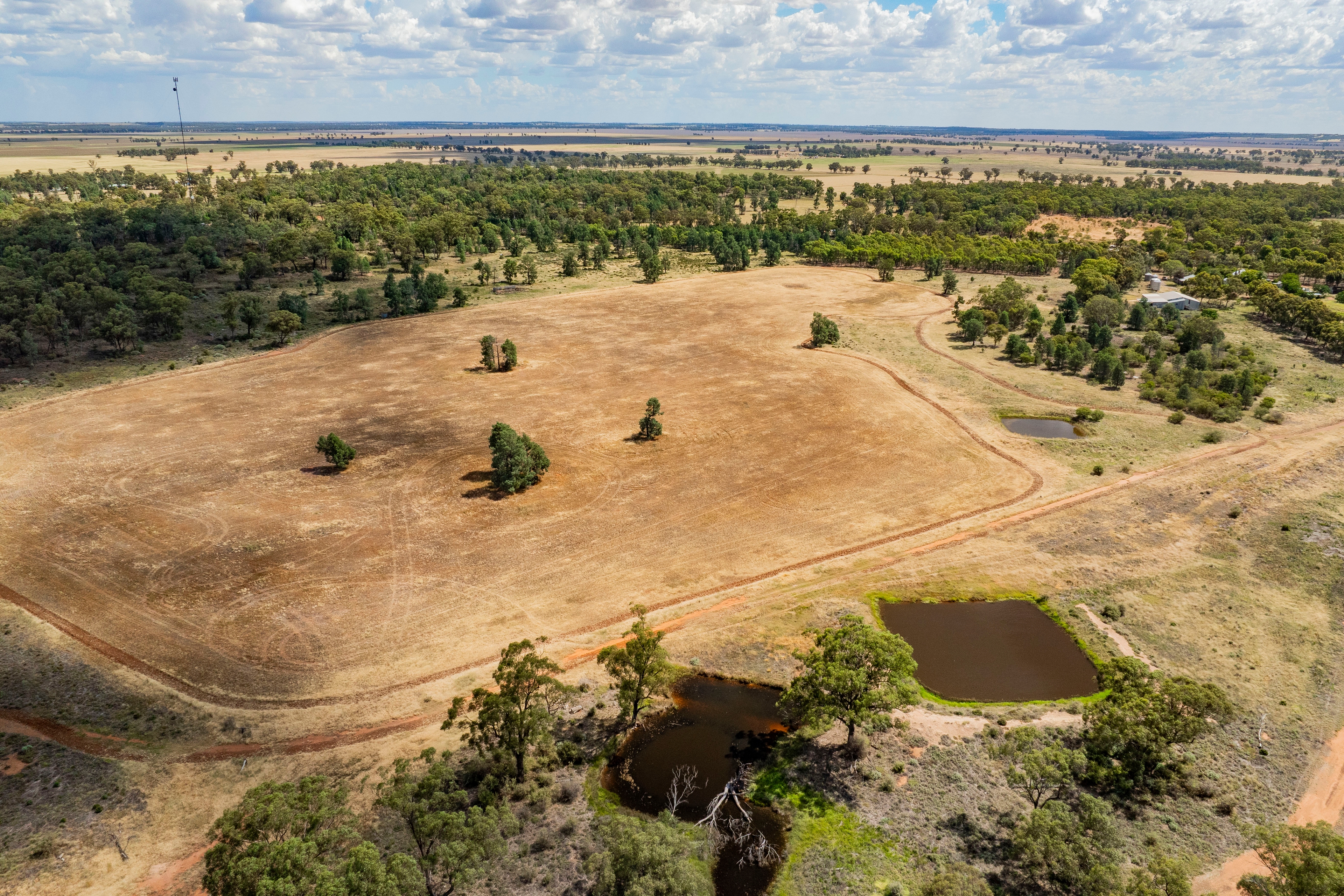 WESTBURY 3426 GOLDFIELDS WAY, Barmedman, Riverina, 0 rūma, 0 rūma horoi, Lifestyle Section