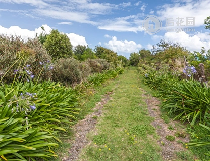 3 Ripa Street, Tangimoana, Manawatu, 1 slaapkamers, 1 badkamers