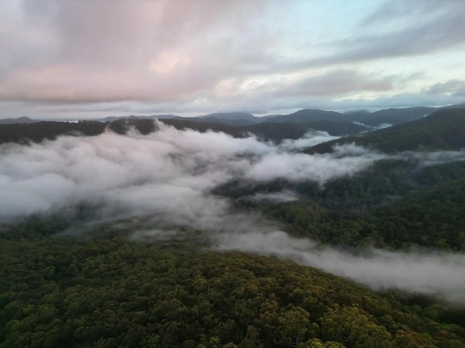 1806 GOLD COAST - SPRINGBROOK RD, Springbrook, Gold Coast, 0 રૂમ, 0 બાથરૂમ, Section