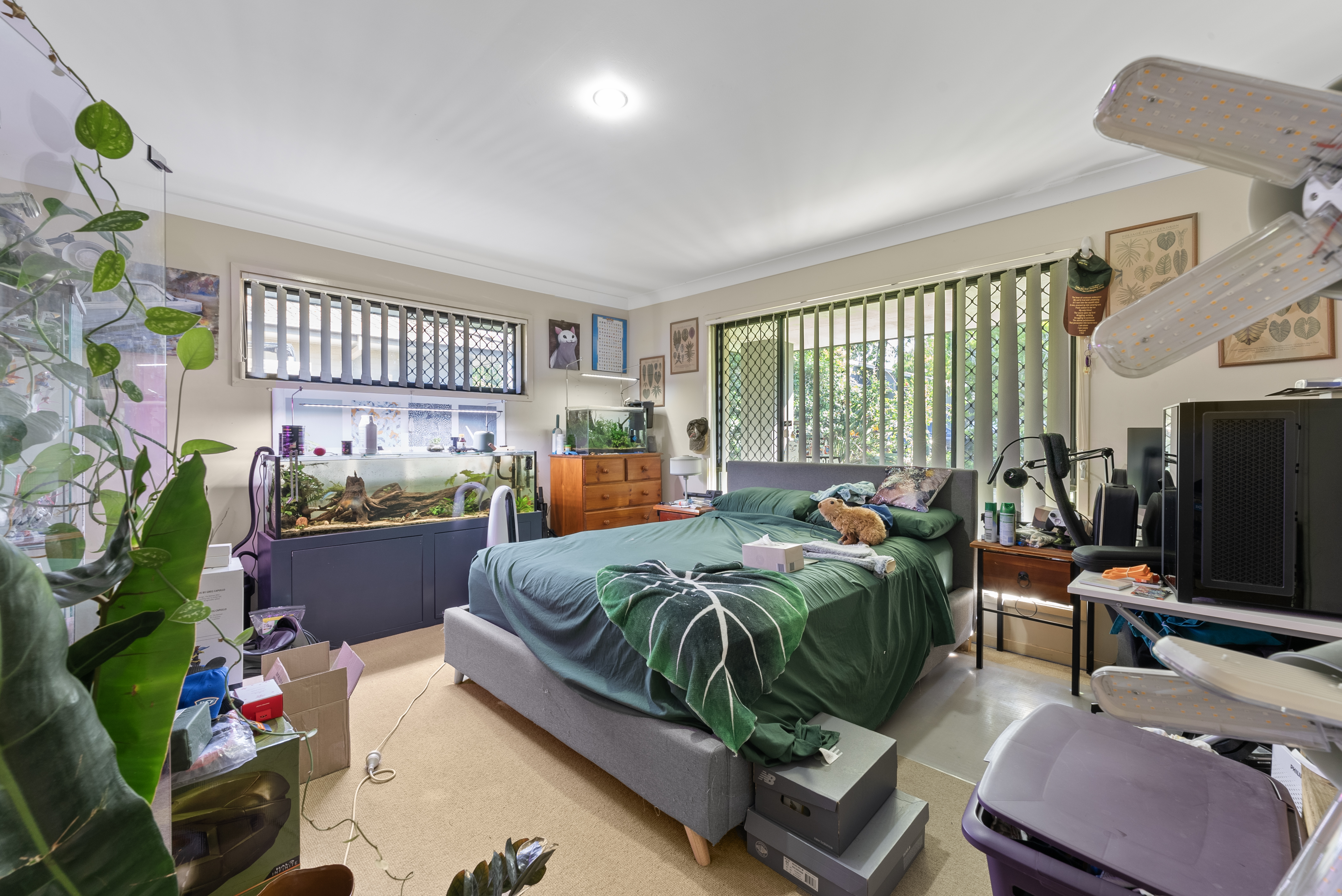 33 WITHEREN CCT, PACIFIC PINES QLD 4211, 0 Bedrooms, 0 Bathrooms, House