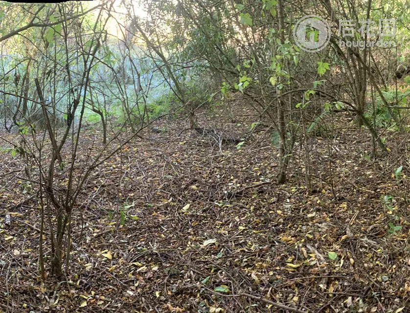 578 Harington Point Road, Otakou, Dunedin, 0房, 1浴