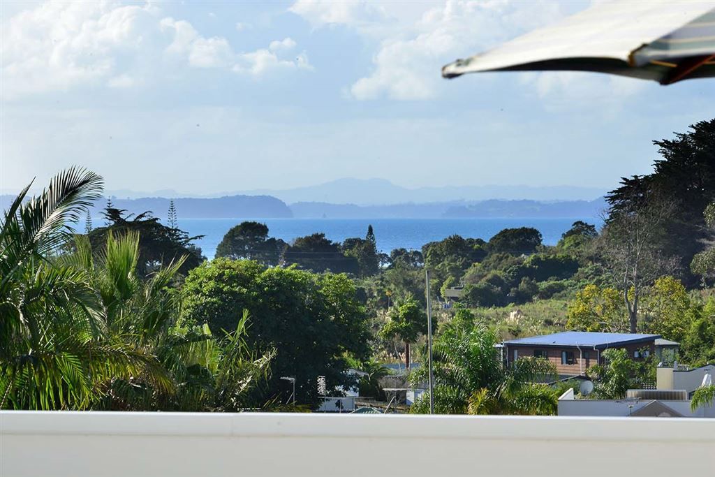 Residential  Terrace Housing and Apartment Building Zone