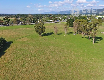 135 Fitzherbert Street, Featherston, South Wairarapa, 1 ਕਮਰੇ, 1 ਬਾਥਰੂਮ