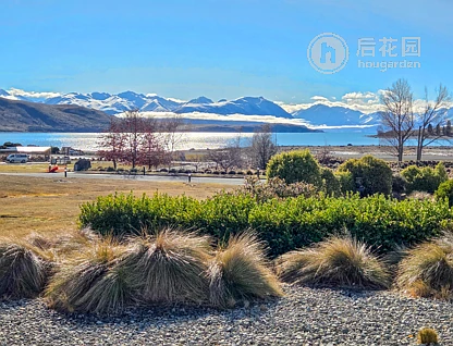 12 Pollock Place, Lake Tekapo, Mackenzie, 4 slaapkamers, 0 badkamers, House