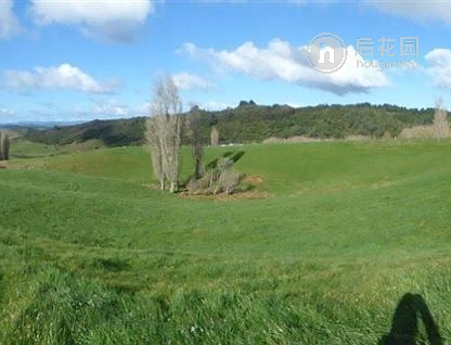 555 Fullerton Road, Waitomo, Waitomo, 0 ਕਮਰੇ, 0 ਬਾਥਰੂਮ