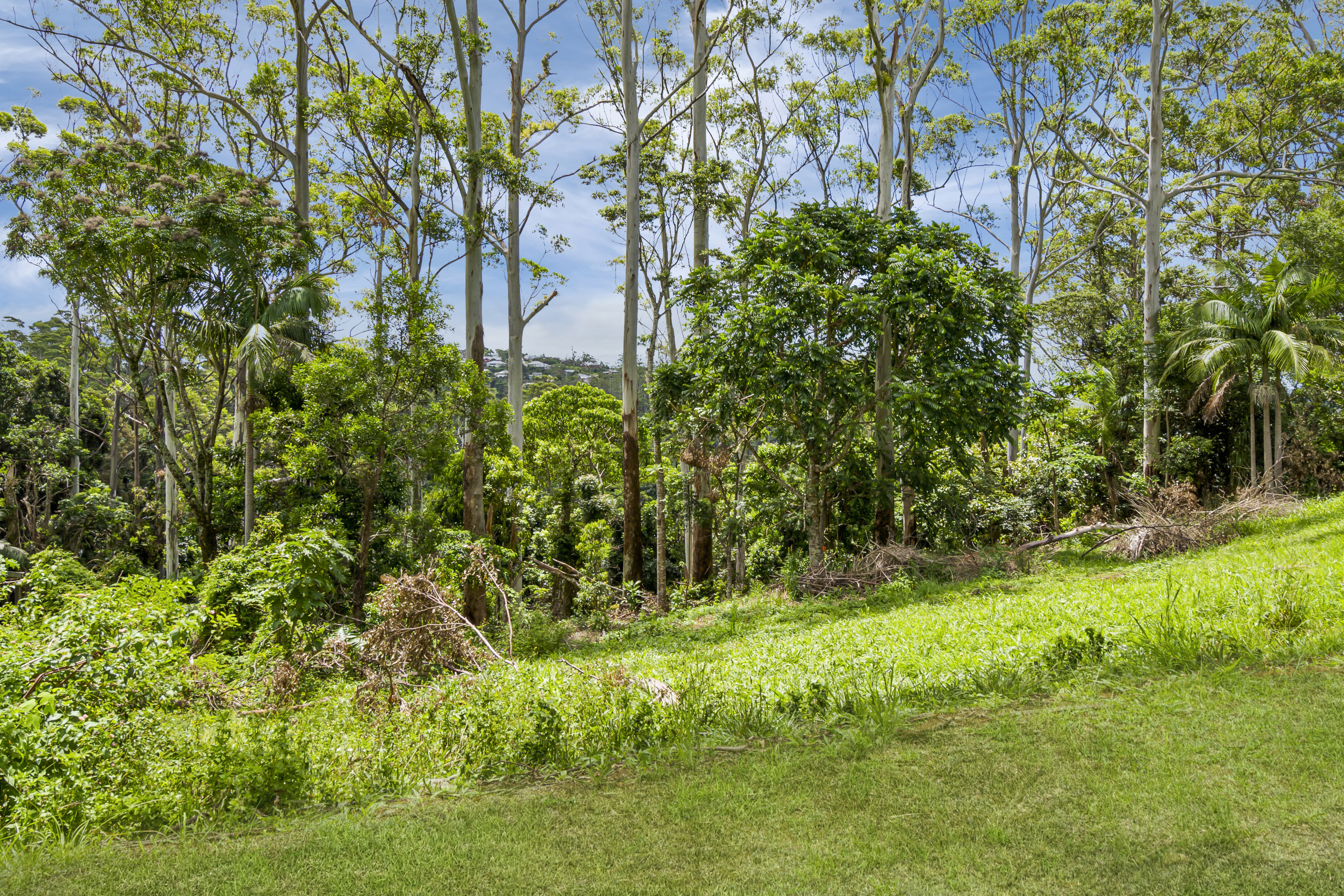 17 KATOOMBA CR, Tamborine Mountain, Gold Coast, 0 कमरे, 0 बाथरूम, Section