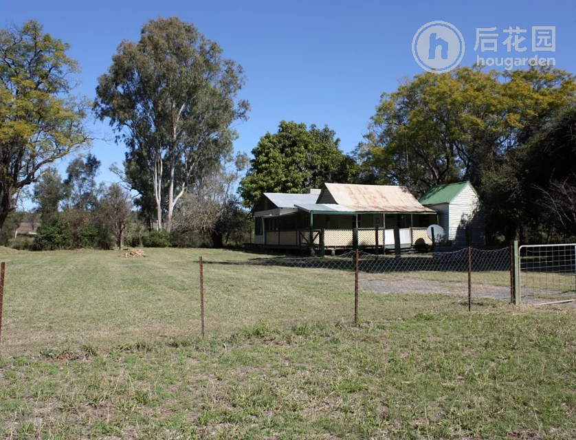 3 GLENLENA AV, RUBYVALE QLD 4702, 0 slaapkamers, 0 badkamers, House